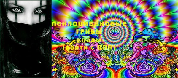 спиды Вязники