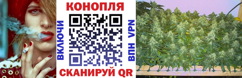 Каннабис планчик  Купить где  Курчалой 